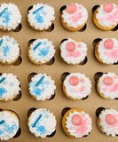 Wit Blauw Roze Mini cupcakes
